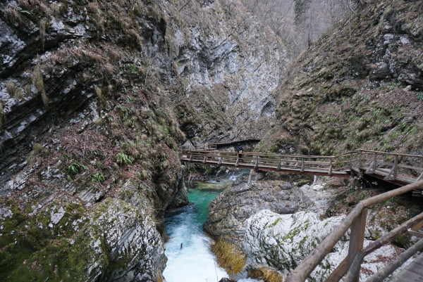 River gorge near Bled in Triglav NP, Slovenia