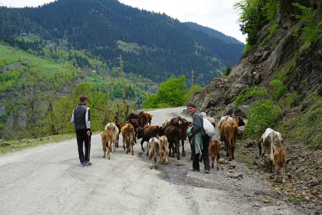 High in the hills above Khulo