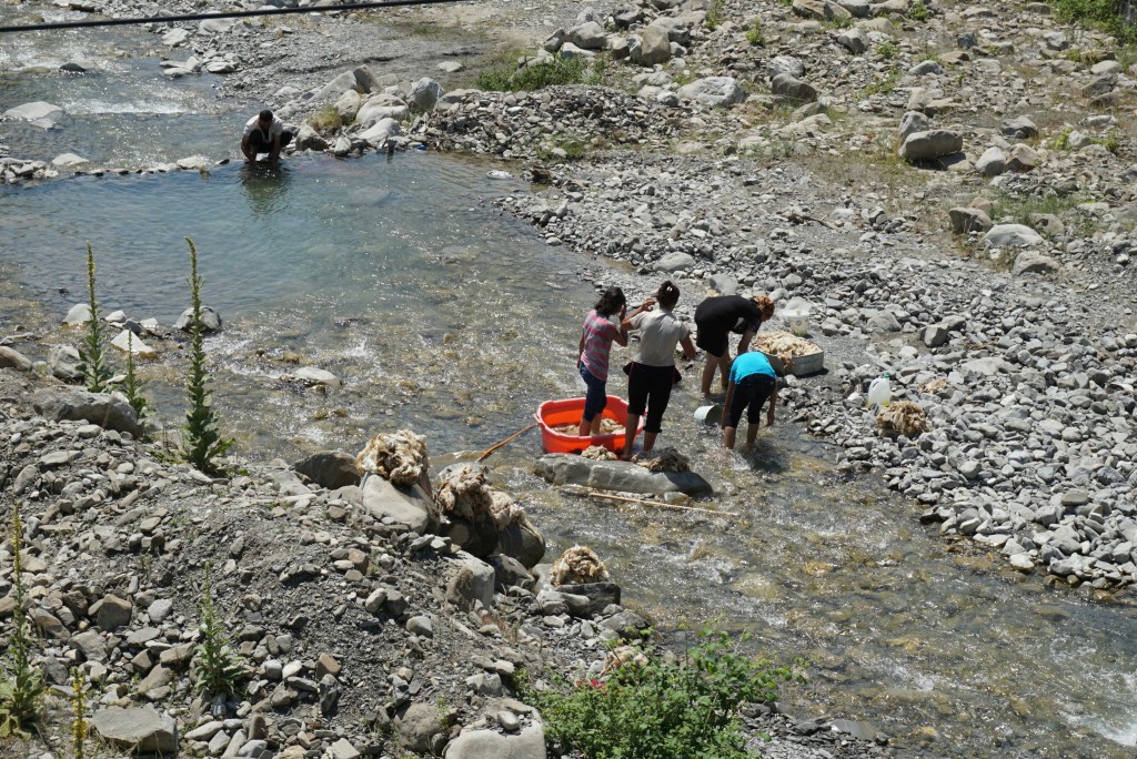 Kids washing fleeces & swimming in a river near Qax
