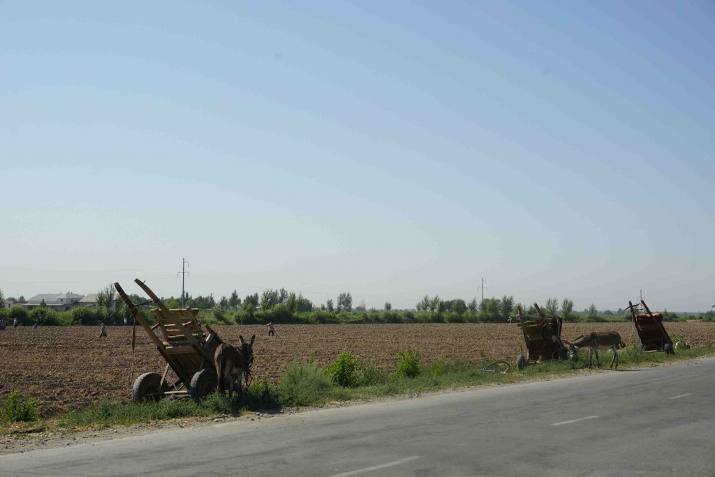 Workplace parking scheme, Uzbekistan