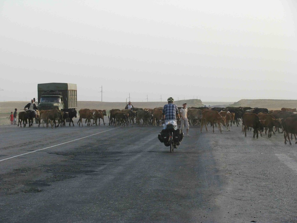 On the road to Guzar. Photo credit: R.Holtman