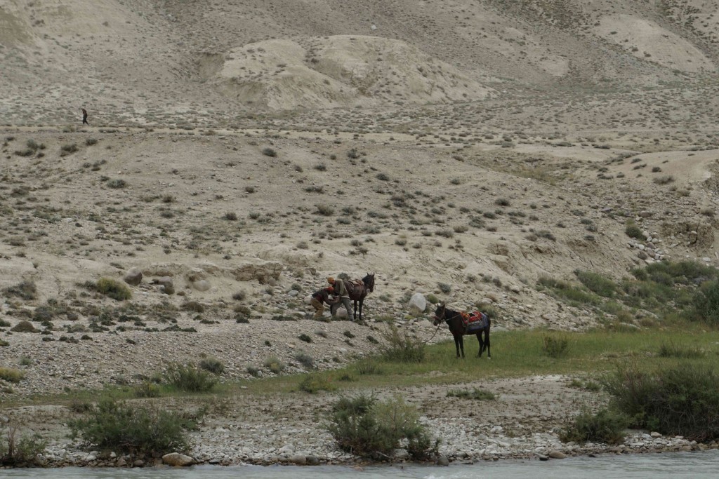 Shoeing a horse, Afghan style