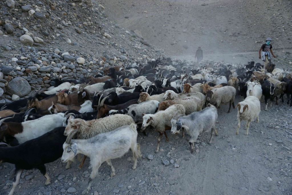 Climbing the switchbacks out of Langar