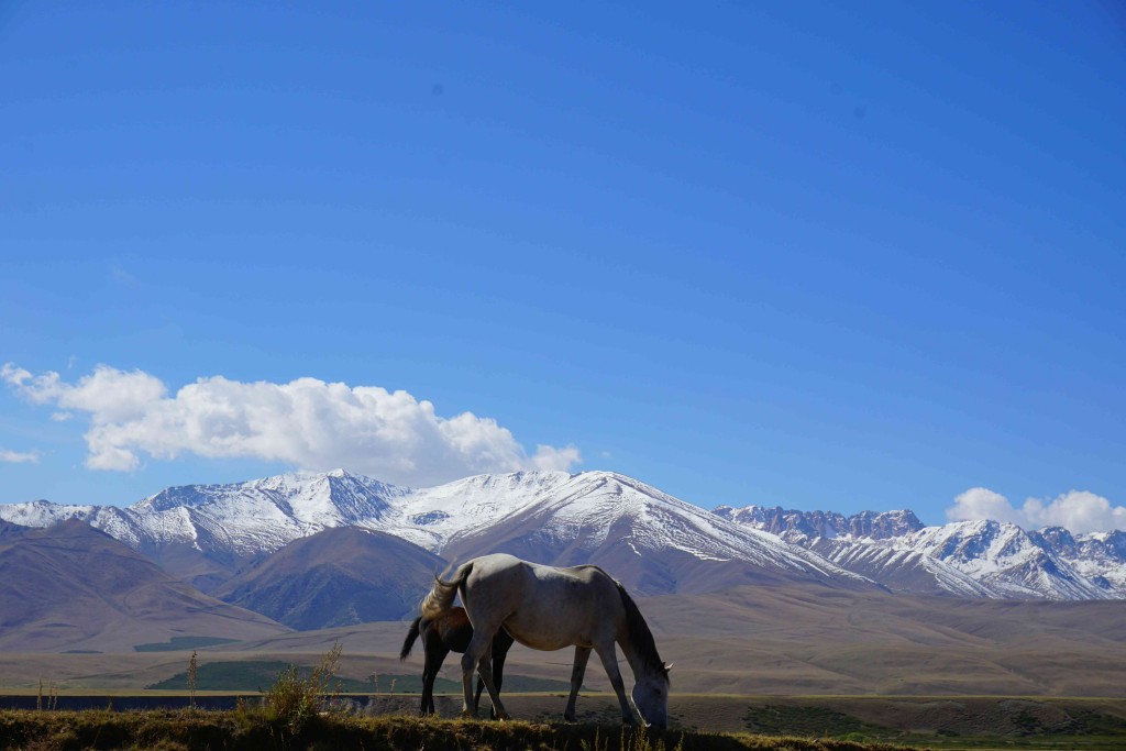 Between the Ala Bel and Tuu Ashu passes