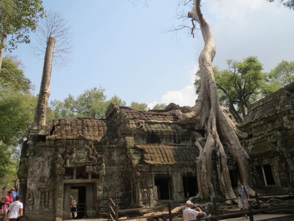 Ta Prohm temple, Angkor, Cambodia
