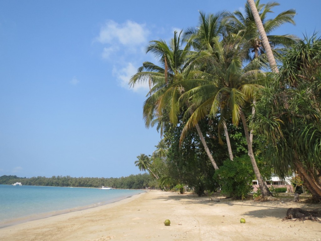 Beaches of Koh Mak. Those two coconuts fell from the tree and hit the sand about 5m from where I was standing.