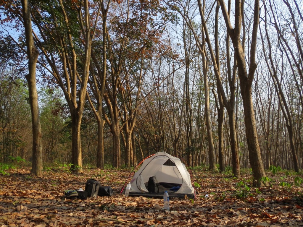 Camping in a rubber plantation en route to Bangkok.