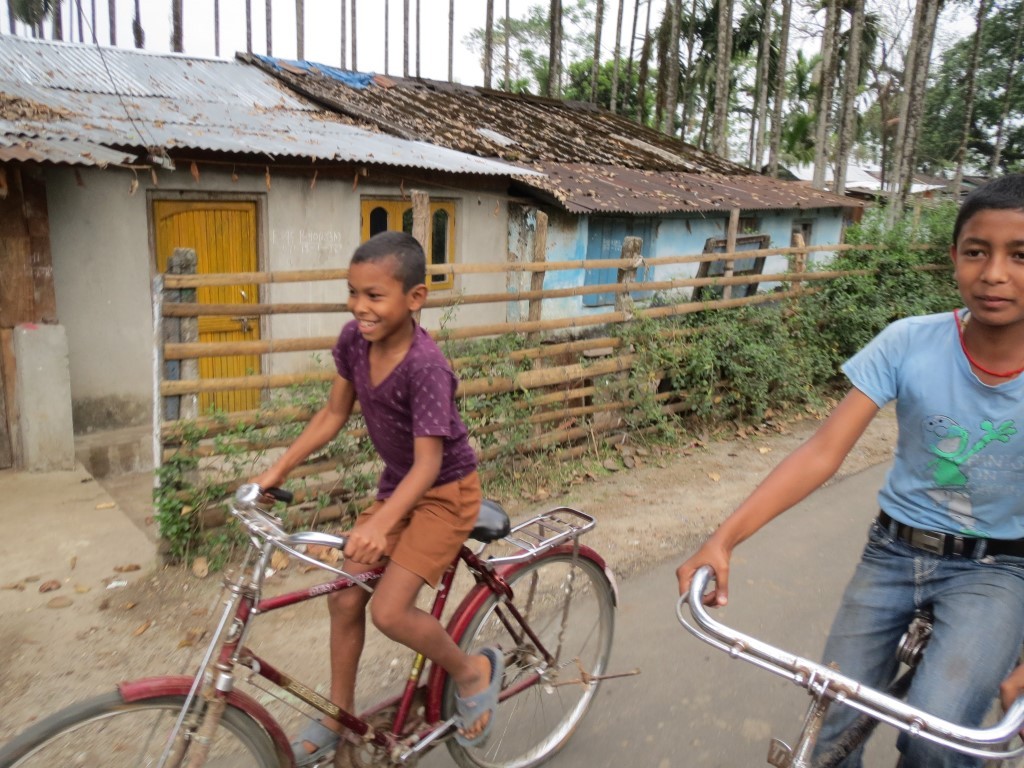 Escort through the tea lands of West Bengal